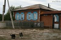 Дом, в котором родился Петр Иванович Сумин. Село Верхняя Санарка. Автор: Марина Волкова.