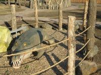 Динопарк «Динозаврик». Экспозиция 2012-2013 гг. Крокодил.