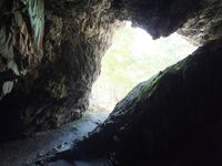 Сугомаская пещера 281