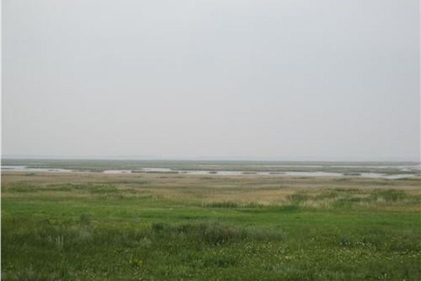 Озеро Малый Сарыкуль, июнь 2011 г. Автор: Гребенникова Л. Н.
