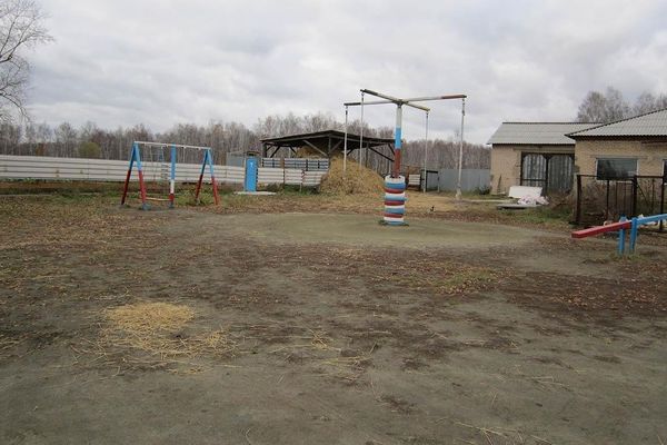 Детская площадка на ферме в поселке Полянный.