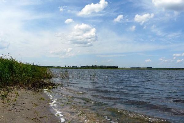 Берег озера Пахомово 