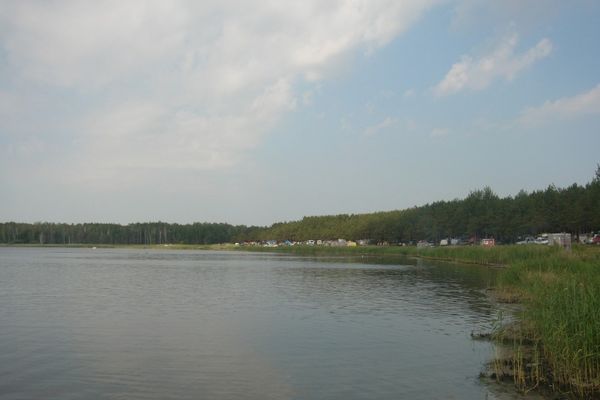 Озеро Сладкое. Берег. Автор: almi.