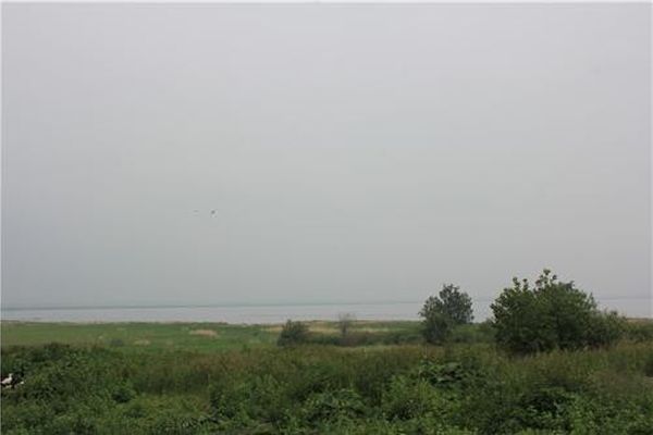 Озеро Малый Сарыкуль, июнь 2011 г. Автор: Баженов Е. А.
